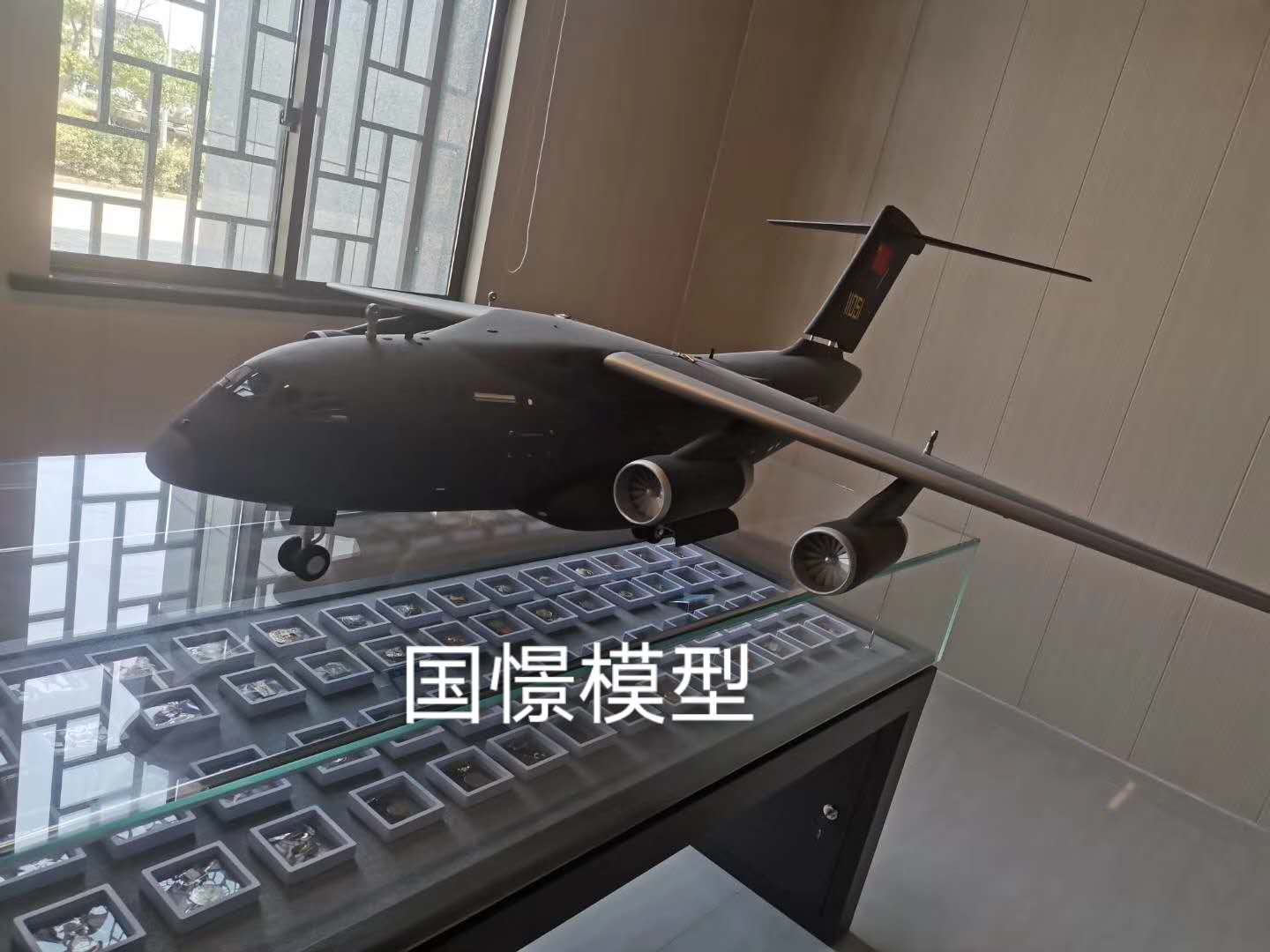 九寨沟县飞机模型